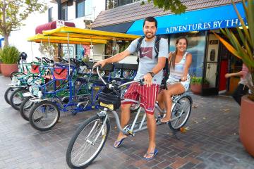 Hybrid Bicycle Rental