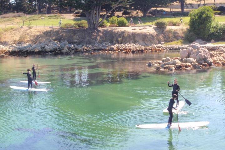 Paddle Board