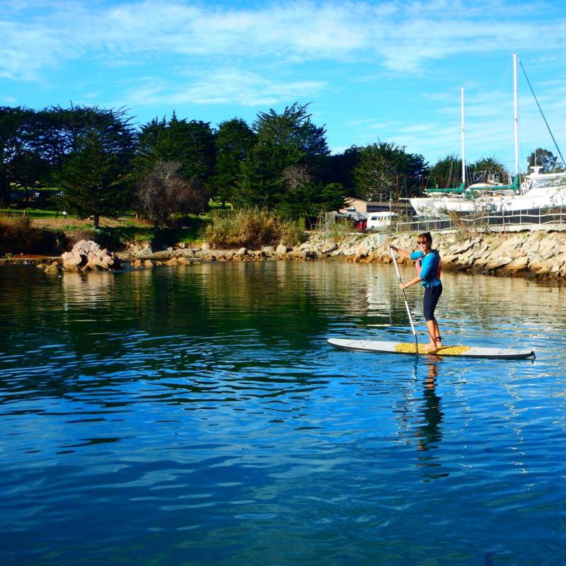 Paddle Board Rental