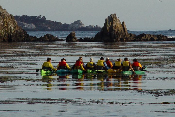 Private Pebble Beach Kayak Tour