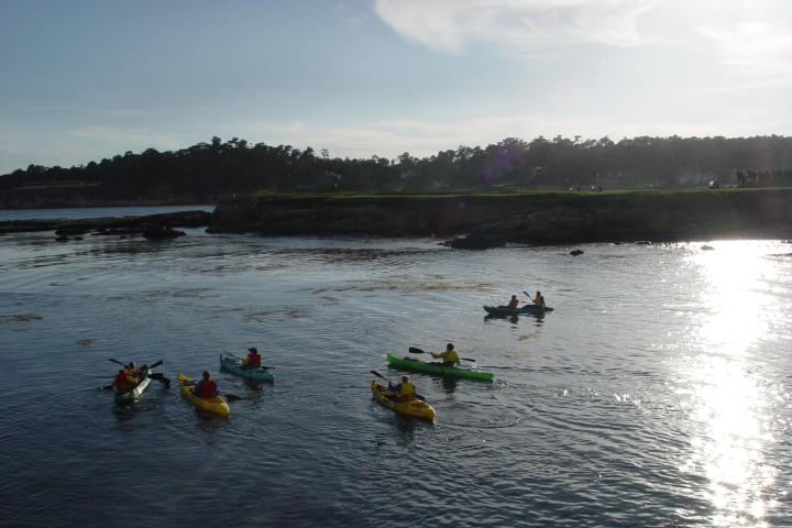 Private Pebble Beach Kayak Tour